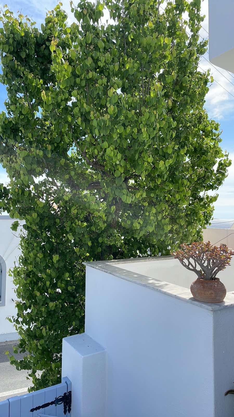 Elkaza Villas Fira  Bagian luar foto